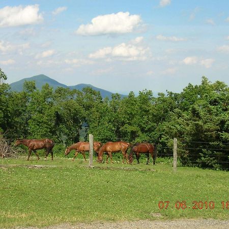 Bent Mountain Lodge Roanoke Exterior photo